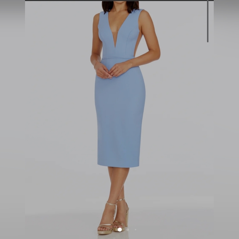 Dress the Population Ivana Dress